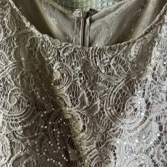 Alex Evenings dress, mother of the bride, high-low, plus size 20W, NWT - Picture 2 of 12